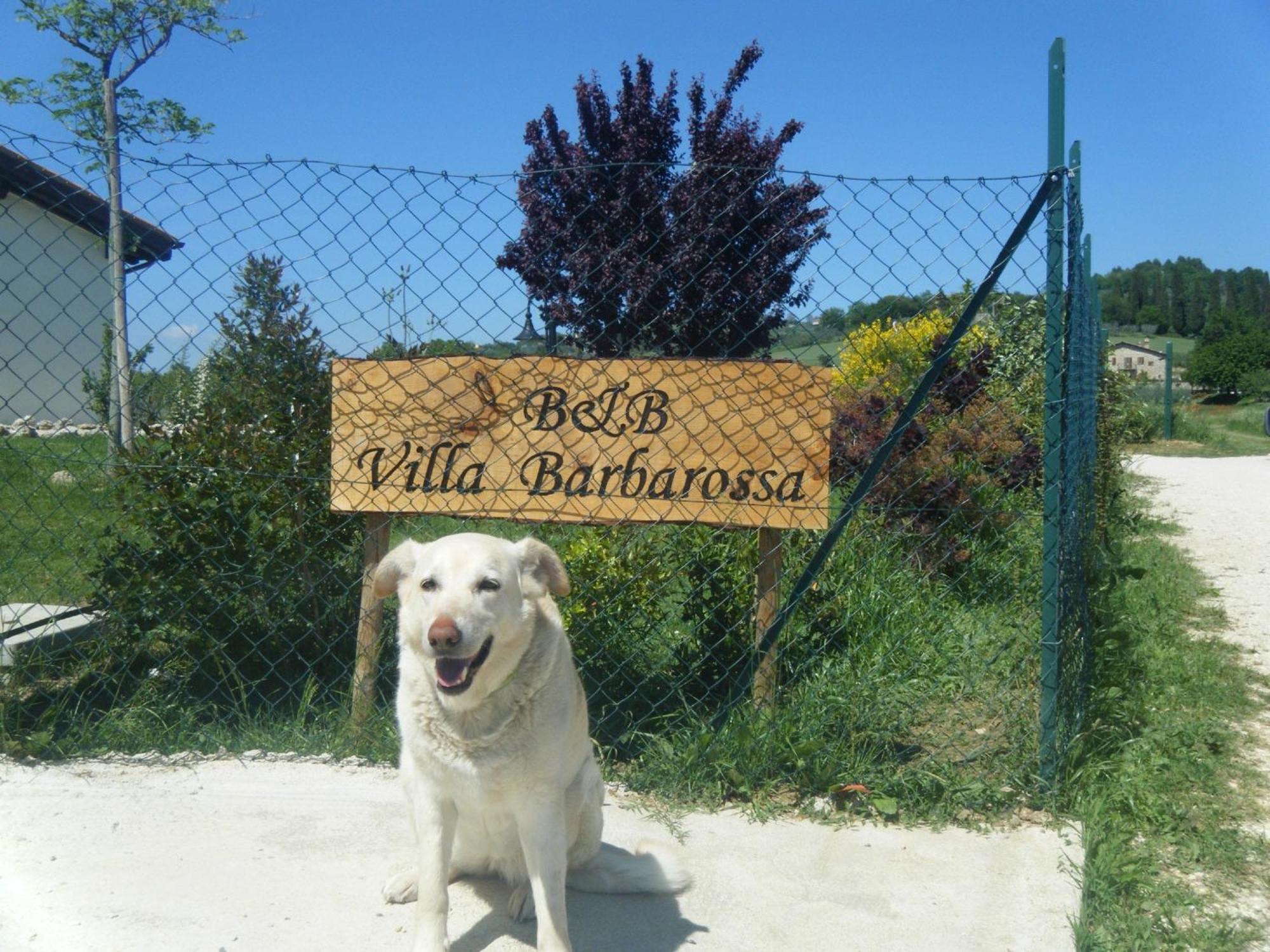 B&B Villa Barbarossa Petrignano Bagian luar foto