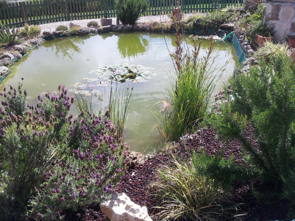 B&B Villa Barbarossa Petrignano Bagian luar foto